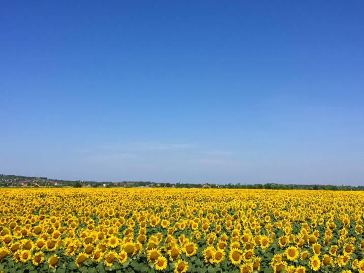 Begrüßungsabend am Sonntag, 13.11.2022